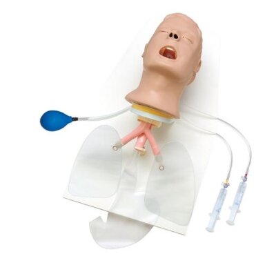 Advanced Airway Larry kvėpavimo takų procedūrų treniruoklis, stendas Advanced Airway Larry kvėpavimo takų procedūrų treniruoklis, stendas