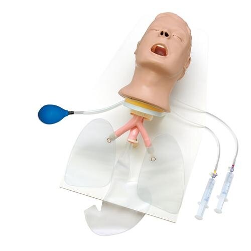 Advanced Airway Larry kvėpavimo takų procedūrų treniruoklis, stendas Advanced Airway Larry kvėpavimo takų procedūrų treniruoklis, stendas