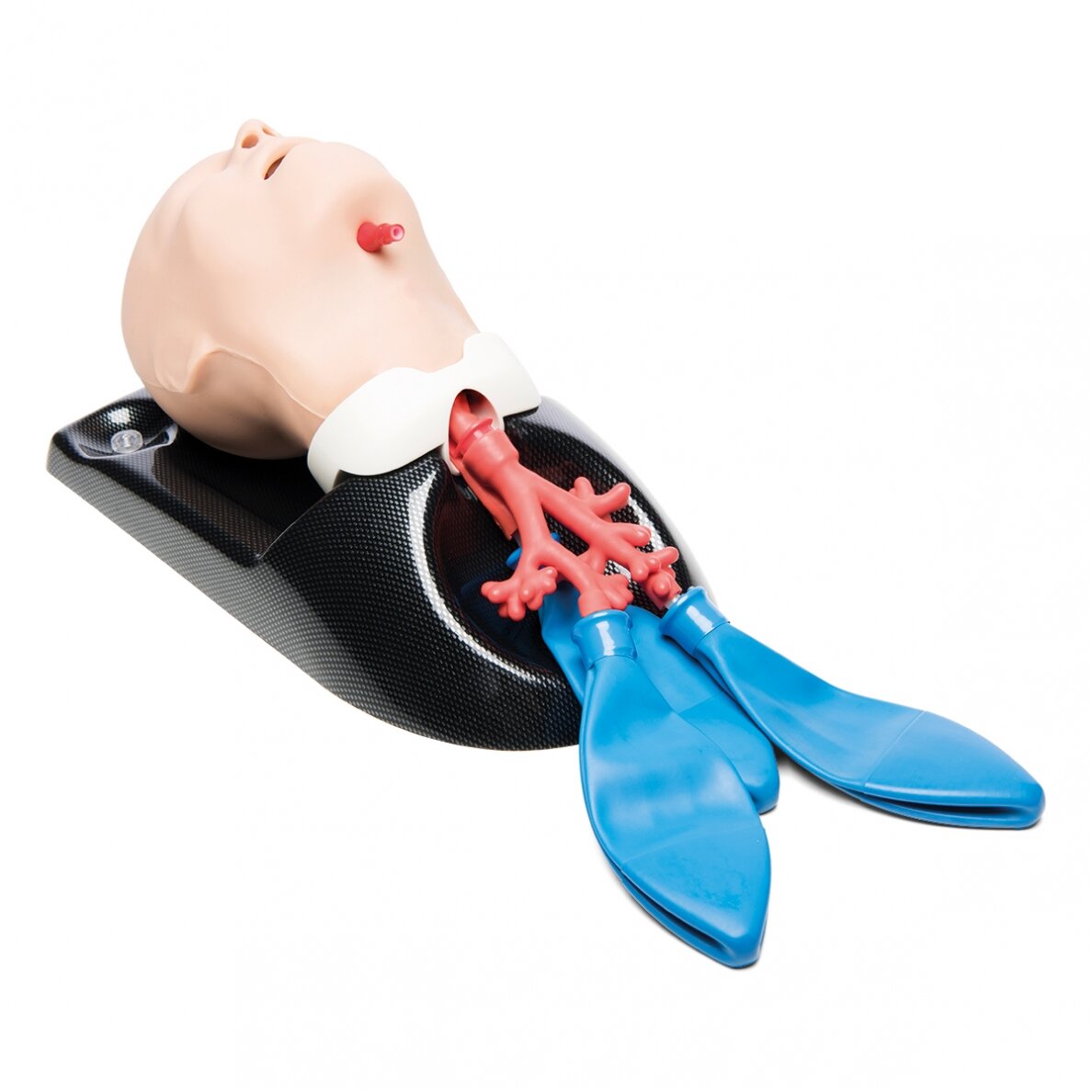 AirSim Child Bronchi X kvėpavimo takų veiksmų vaikui mokymo treniruoklis 1 AirSim Child Bronchi X kvėpavimo takų veiksmų vaikui mokymo treniruoklis 1