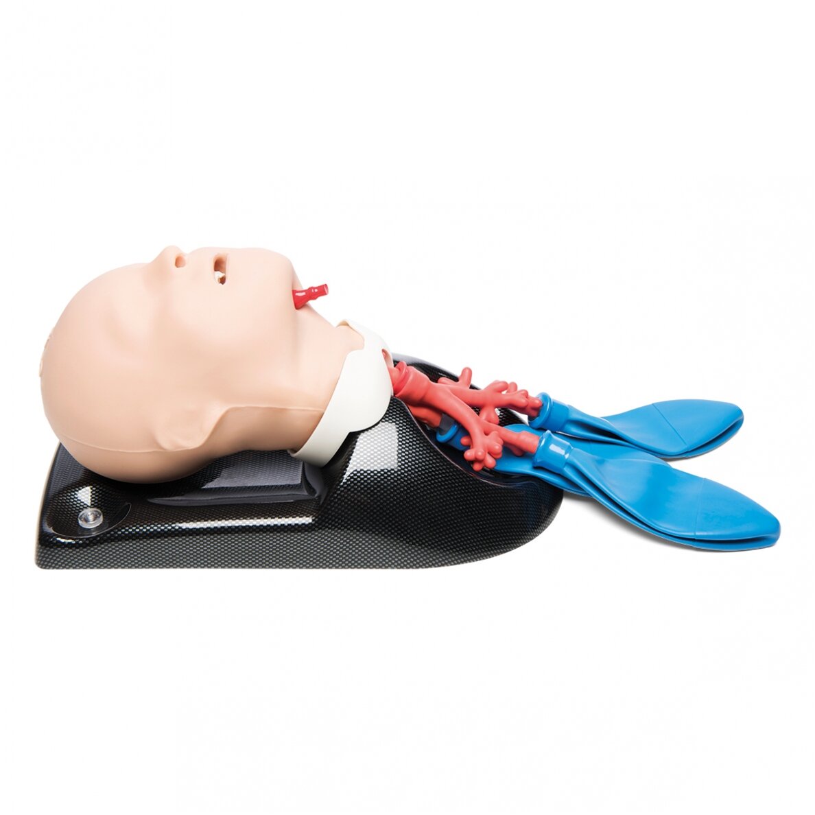 AirSim Child Bronchi X kvėpavimo takų veiksmų vaikui mokymo treniruoklis AirSim Child Bronchi X kvėpavimo takų veiksmų vaikui mokymo treniruoklis