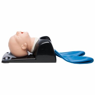 AirSim Baby X AirSim Baby X