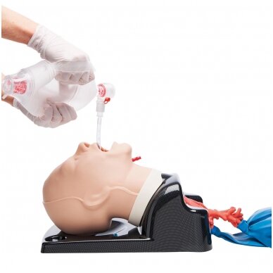 AirSim Advance Bronchi X 1 AirSim Advance Bronchi X 1