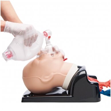 AirSim Advance Bronchi X 2
