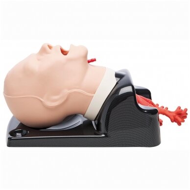 AirSim Advance Bronchi X 3