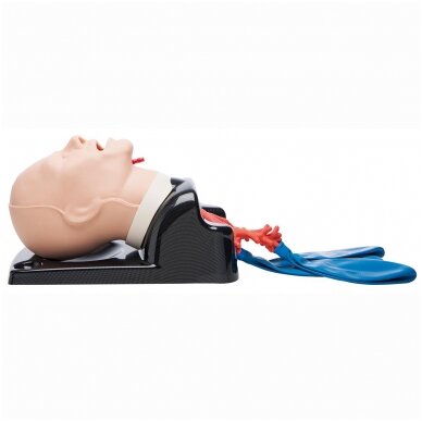 AirSim Advance Bronchi X