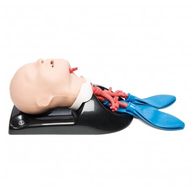 AirSim Child Bronchi X kvėpavimo takų veiksmų vaikui mokymo treniruoklis AirSim Child Bronchi X kvėpavimo takų veiksmų vaikui mokymo treniruoklis