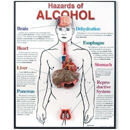 Alkoholio pavojai - mokomoji medžiaga