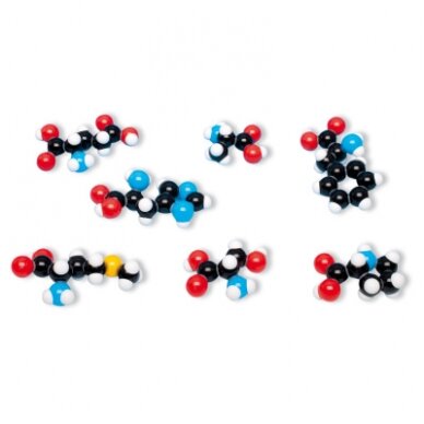 Amino rūgščių molekulinė struktūra, 8 modeliai, molymod® Amino rūgščių molekulinė struktūra, 8 modeliai, molymod®