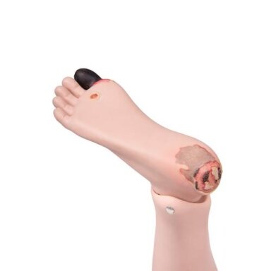 Atsarginis dešinės pėdos modelis Atsarginis dešinės pėdos modelis