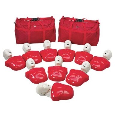 Ekonominis pirmosios pagalbos torso modelis (10 vnt.) Ekonominis pirmosios pagalbos torso modelis (10 vnt.)