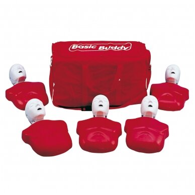 Ekonominis pirmosios pagalbos torso modelis (5 vnt.) Ekonominis pirmosios pagalbos torso modelis (5 vnt.)