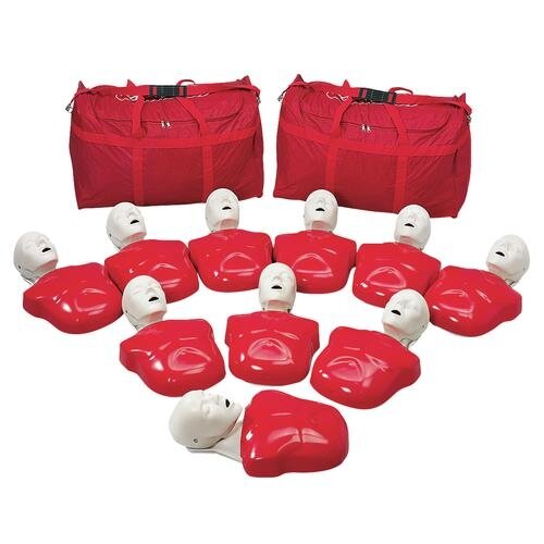 Ekonominis pirmosios pagalbos torso modelis (10 vnt.) Ekonominis pirmosios pagalbos torso modelis (10 vnt.)