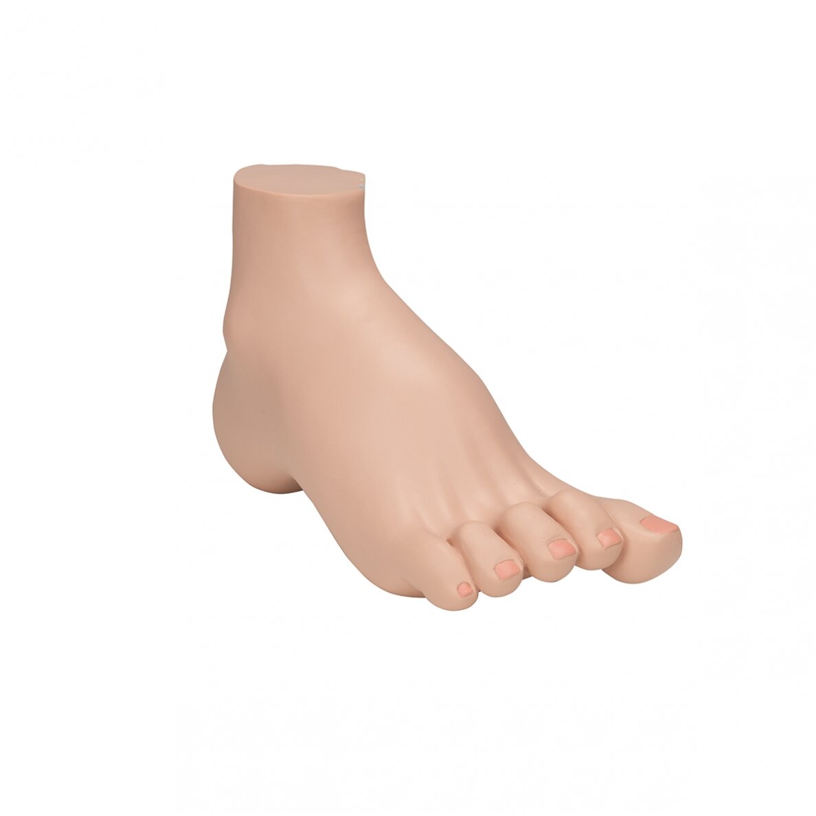 Gaubtos pėdos (Pes Cavus) modelis 2