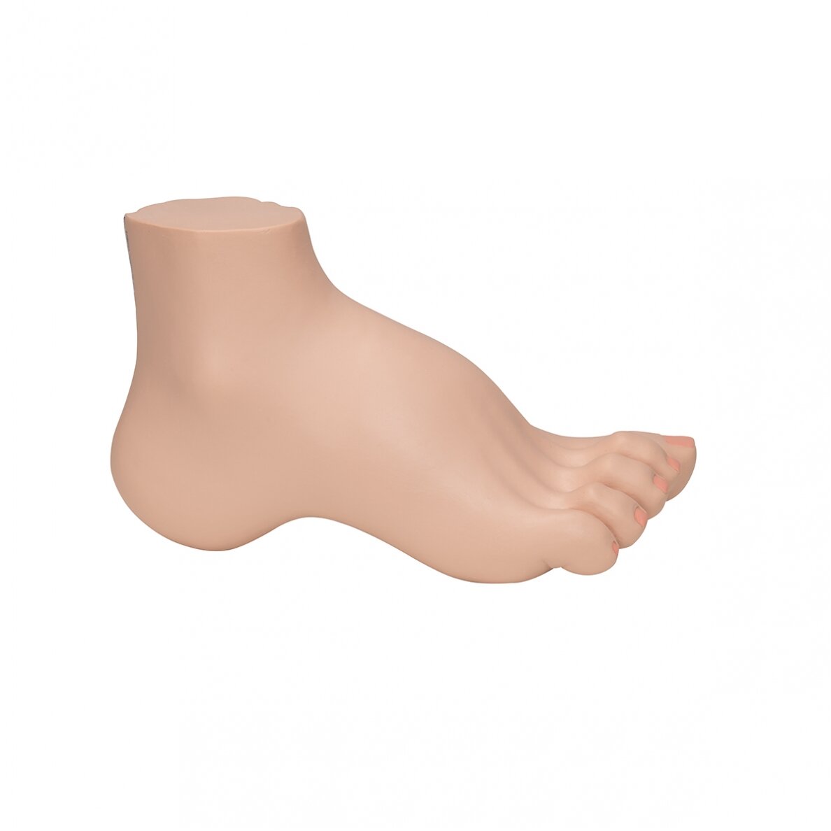 Gaubtos pėdos (Pes Cavus) modelis 3 Gaubtos pėdos (Pes Cavus) modelis 3