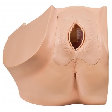 Ginekologinis modelis, skirtas medicininiam paciento švietimui 2 Ginekologinis modelis, skirtas medicininiam paciento švietimui 2