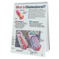 Informacinė priemonė "Cholesterolio apykaitos diagrama"