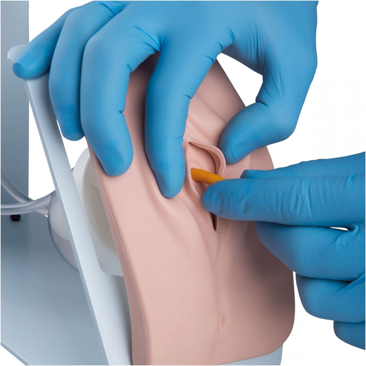 Kateterizacijos simuliatoriaus BASIC rinkinys 3