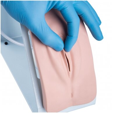 Kateterizacijos simuliatoriaus BASIC rinkinys 1 Kateterizacijos simuliatoriaus BASIC rinkinys 1