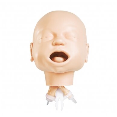 Kūdikių kvėpavimo takų atlaisvinimo treniruoklis, galva