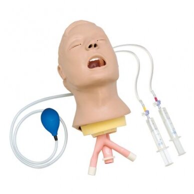 Life/form® Advanced Airway kvėpavimo takų veiksmų treniruoklio galva Life/form® Advanced Airway kvėpavimo takų veiksmų treniruoklio galva