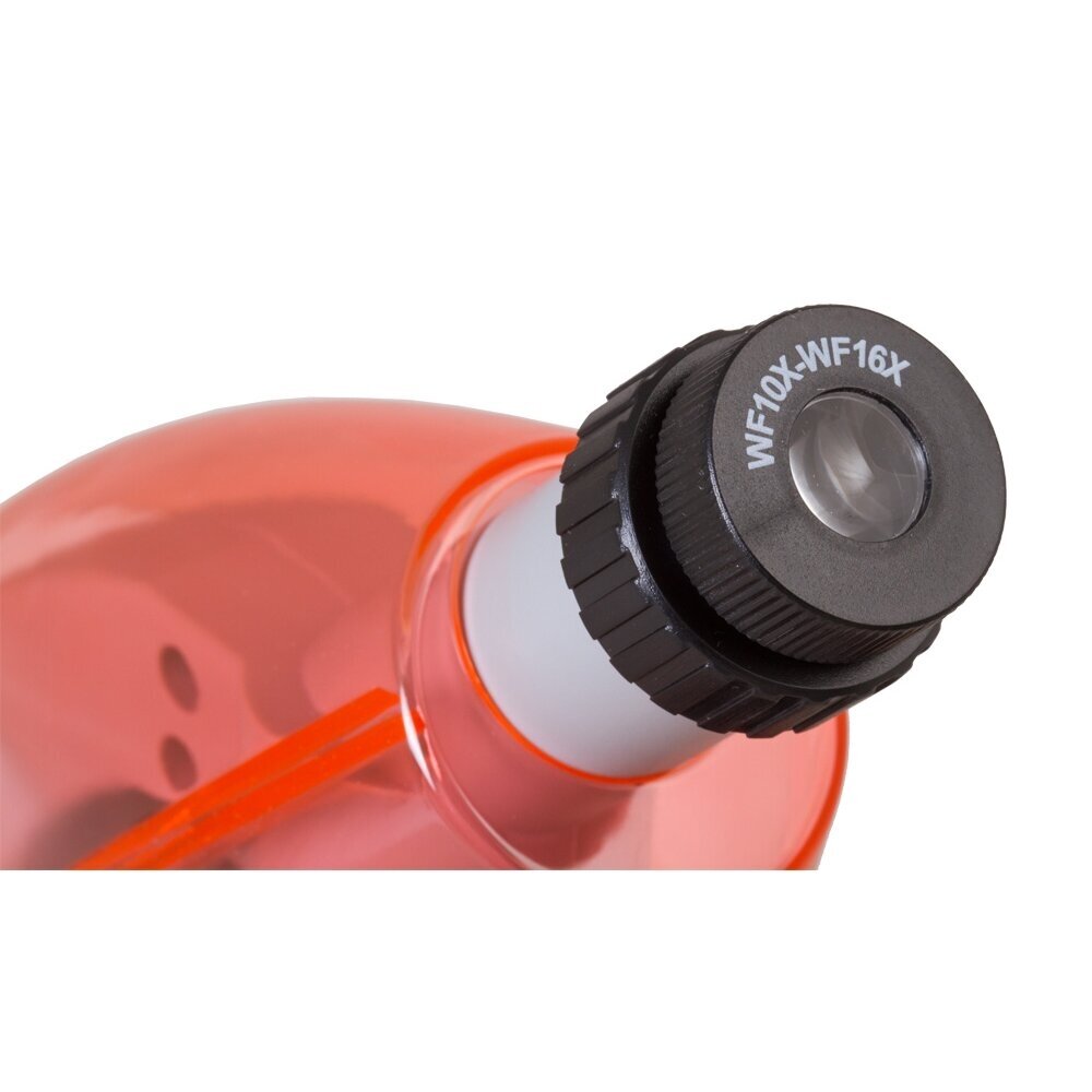 Mikroskopas Levenhuk LabZZ M101, oranžinis 3 Mikroskopas Levenhuk LabZZ M101, oranžinis 3