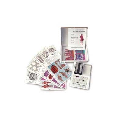 MULTIMEDIJA MOKYTOJUI Pagrindinė pakuotė Bakterijos, 6 dalys MULTIMEDIJA MOKYTOJUI Pagrindinė pakuotė Bakterijos, 6 dalys