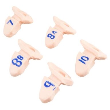 Papildomos ausys Papildomos ausys