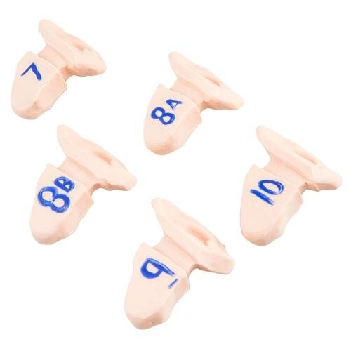 Papildomos ausys Papildomos ausys