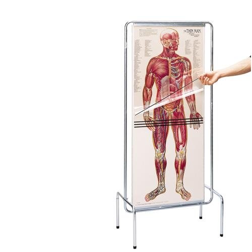 Permatomų žmogaus anatominių plakatų rinkinys Permatomų žmogaus anatominių plakatų rinkinys