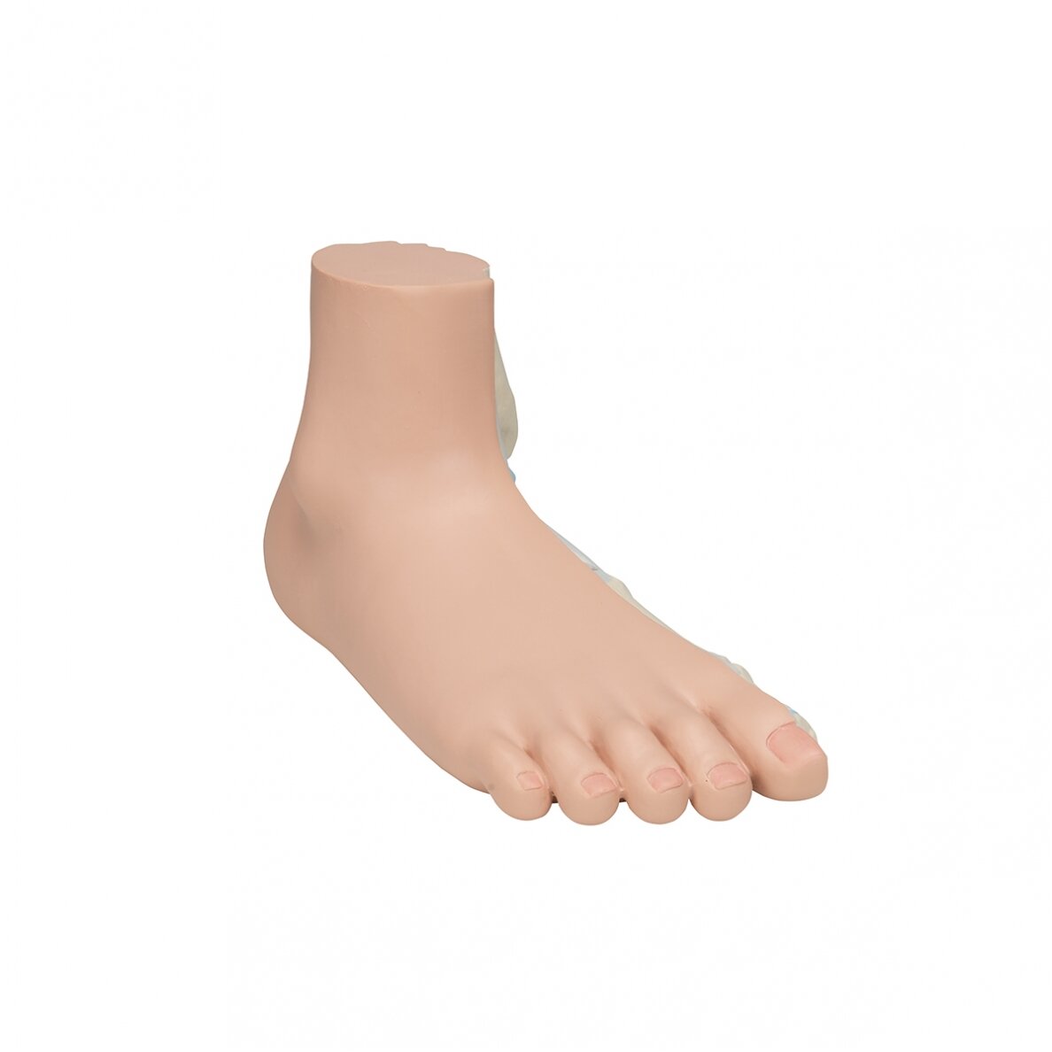 Pilnapadės pėdos (Pes Planus) modelis 2 Pilnapadės pėdos (Pes Planus) modelis 2