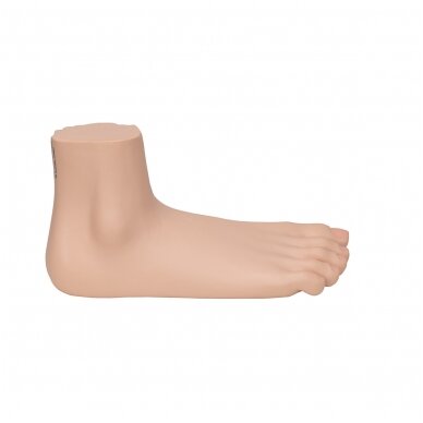 Pilnapadės pėdos (Pes Planus) modelis 3