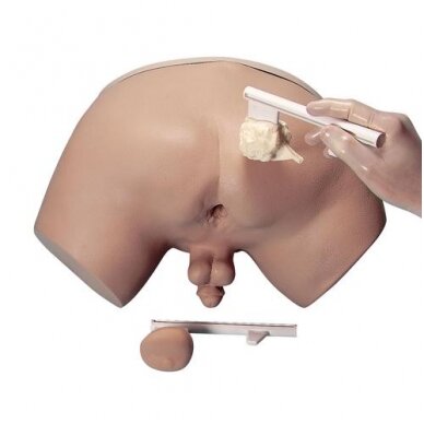 Prostatos patikrinimo simuliatorius Prostatos patikrinimo simuliatorius