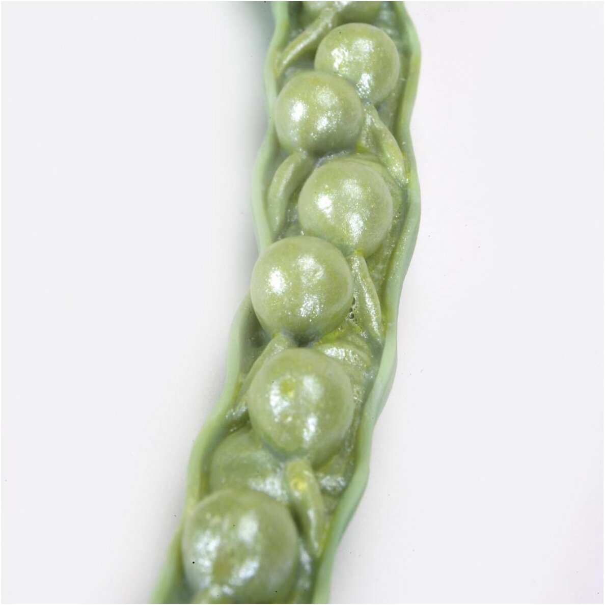 Rapso žiedo (Brassica napus ssp. oleifera) modelis 1 Rapso žiedo (Brassica napus ssp. oleifera) modelis 1