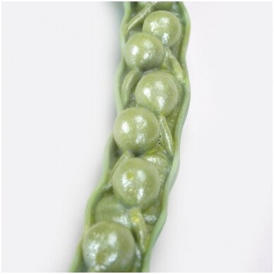 Rapso žiedo (Brassica napus ssp. oleifera) modelis 1 Rapso žiedo (Brassica napus ssp. oleifera) modelis 1