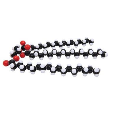 Riebalų (glicerilo tristearato) (C57H110O6) molekulinė struktūra, molymod® Riebalų (glicerilo tristearato) (C57H110O6) molekulinė struktūra, molymod®