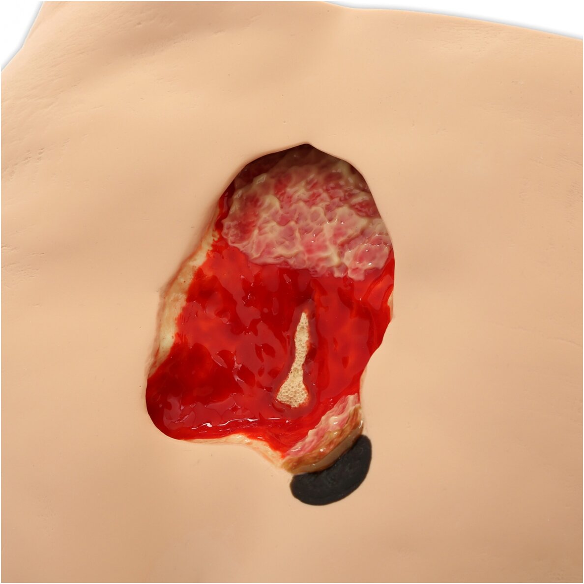 Seymour II™ pragulų priežiūros simuliatorius 3 Seymour II™ pragulų priežiūros simuliatorius 3