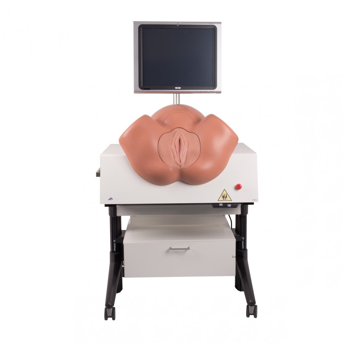 SIMone™ gimdymo simuliatorius 1