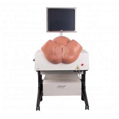 SIMone™ gimdymo simuliatorius 1