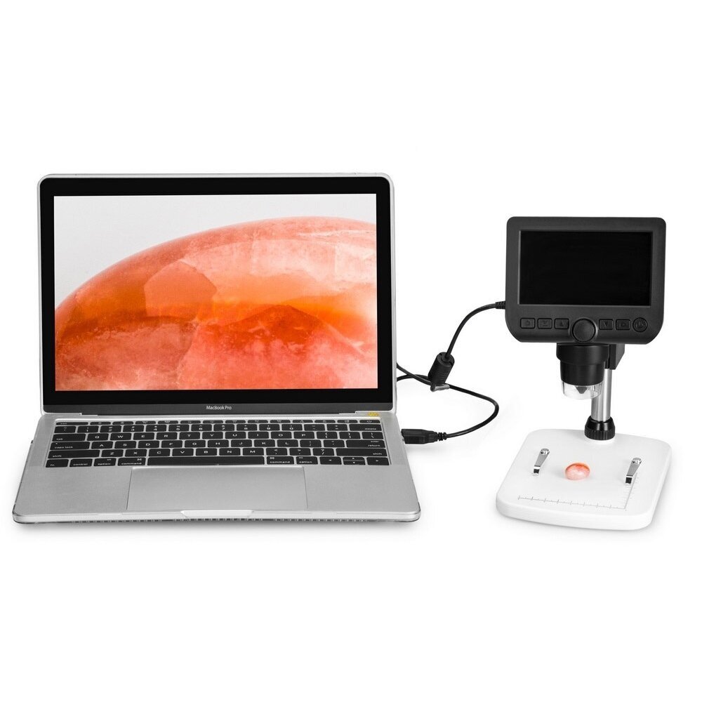 Skaitmeninis mikroskopas Levenhuk DTX 350 LCD 4 Skaitmeninis mikroskopas Levenhuk DTX 350 LCD 4