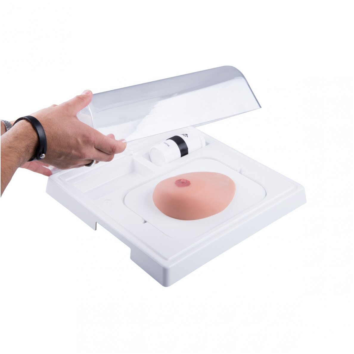 SONOtrain™ krūties su cistomis modelis 1 SONOtrain™ krūties su cistomis modelis 1