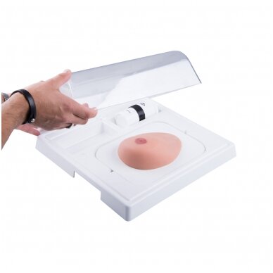 SONOtrain™ krūties su cistomis modelis 1 SONOtrain™ krūties su cistomis modelis 1
