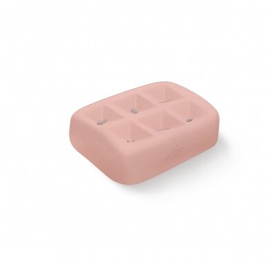 SONOtrain™ svetimkūnio ultragarso modelis 2