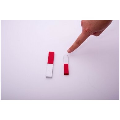 Strypiniai chrominiai magnetai (100 x 15 x 6 mm) - 2 vnt. 2