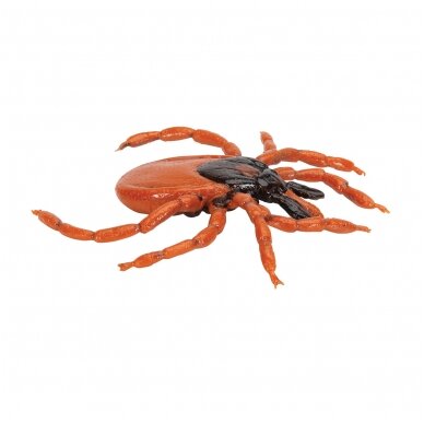 Šuninės erkės (Ixodes ricinus) modelis 2 Šuninės erkės (Ixodes ricinus) modelis 2