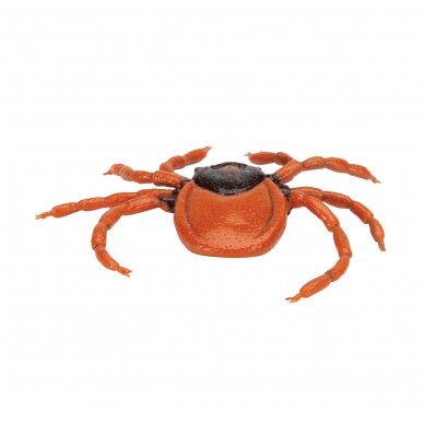 Šuninės erkės (Ixodes ricinus) modelis 3 Šuninės erkės (Ixodes ricinus) modelis 3