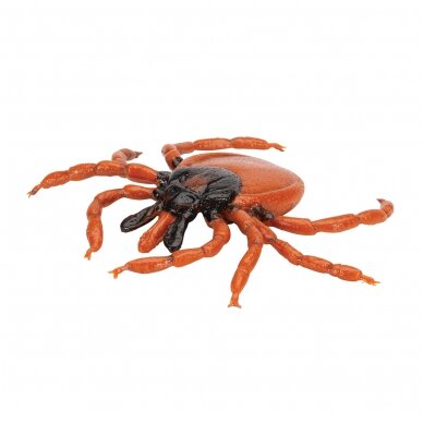 Šuninės erkės (Ixodes ricinus) modelis 4 Šuninės erkės (Ixodes ricinus) modelis 4