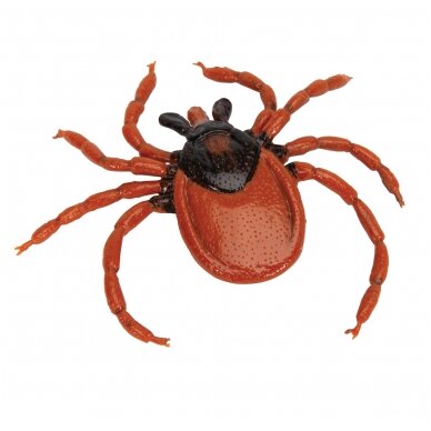Šuninės erkės (Ixodes ricinus) modelis 5 Šuninės erkės (Ixodes ricinus) modelis 5