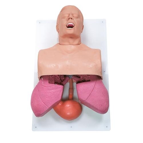 Suaugusiųjų kvėpavimo takų veiksmų atlikimo treniruoklis