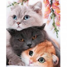 Tapybos pagal skaičius rinkinys Trys katinėliai