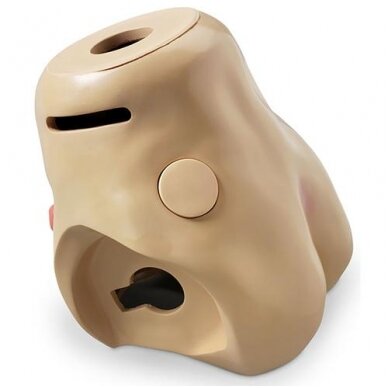 Torso apatinė dalis pacientų priežiūros manekenams KERi™ ir GERi™ Torso apatinė dalis pacientų priežiūros manekenams KERi™ ir GERi™